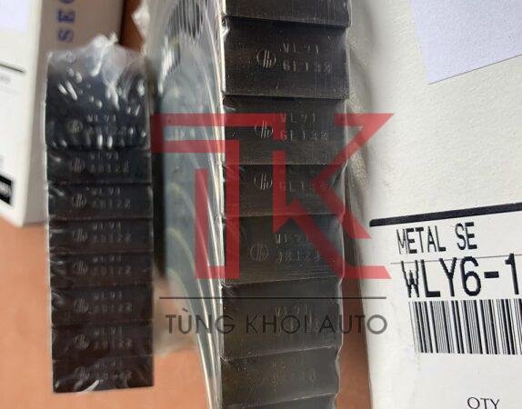 BẠC BIÊN COS 0 - BẠC BALIE FORD EVEREST